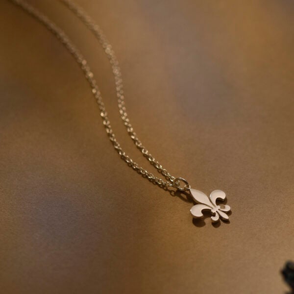 Fleur de lis necklace 2