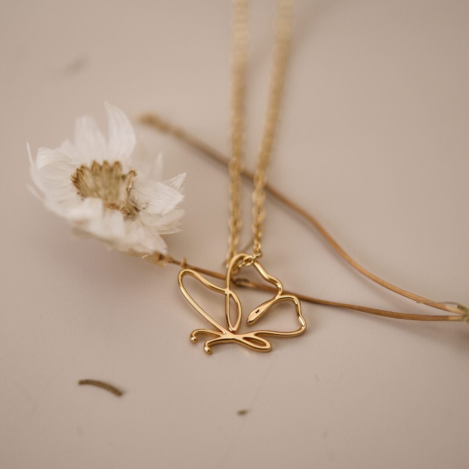 Silver Butterfly Necklace