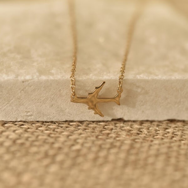 Airplane necklace 3