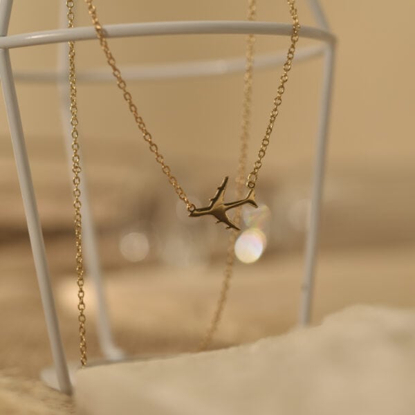 Airplane necklace 4