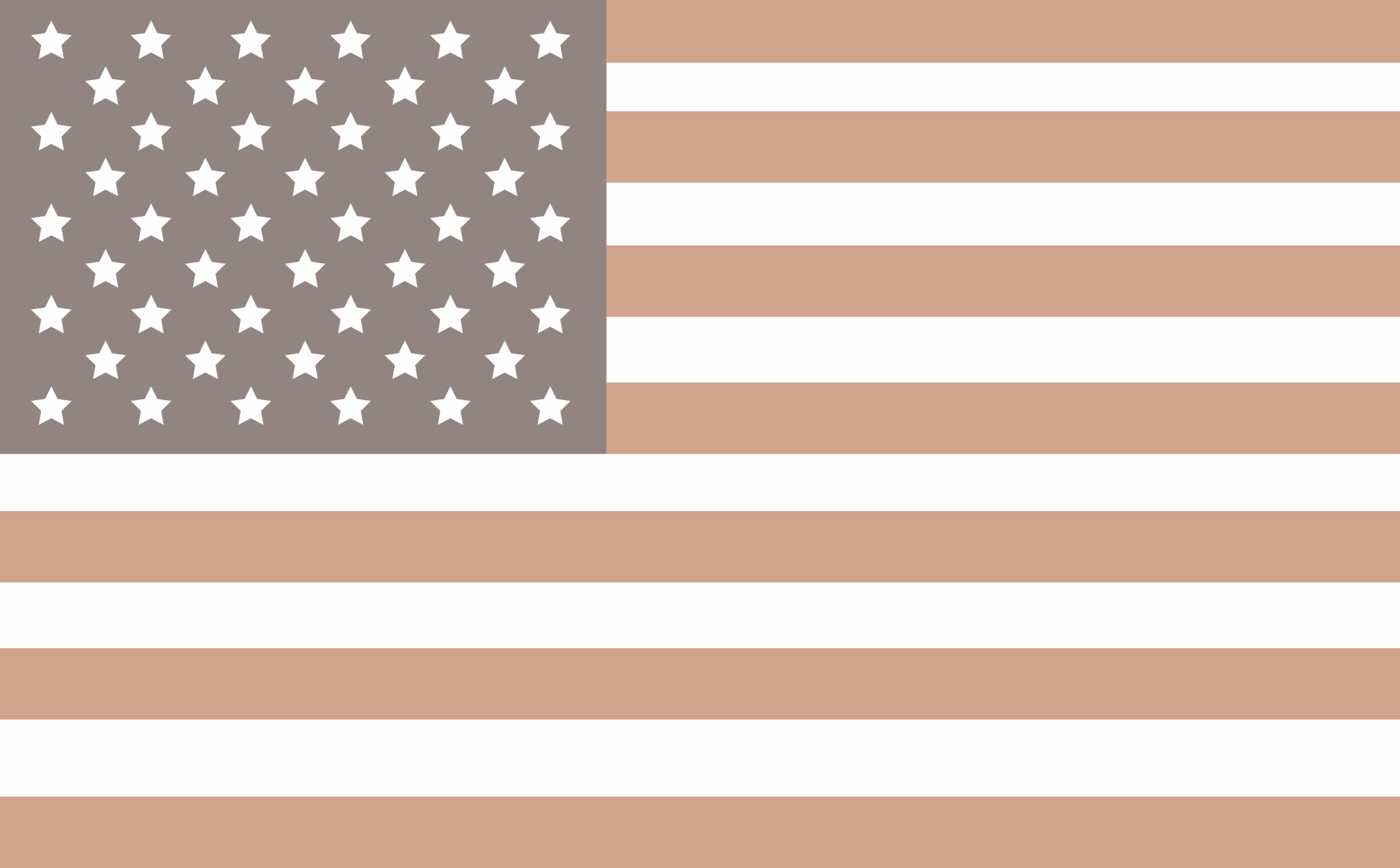 Usa flag